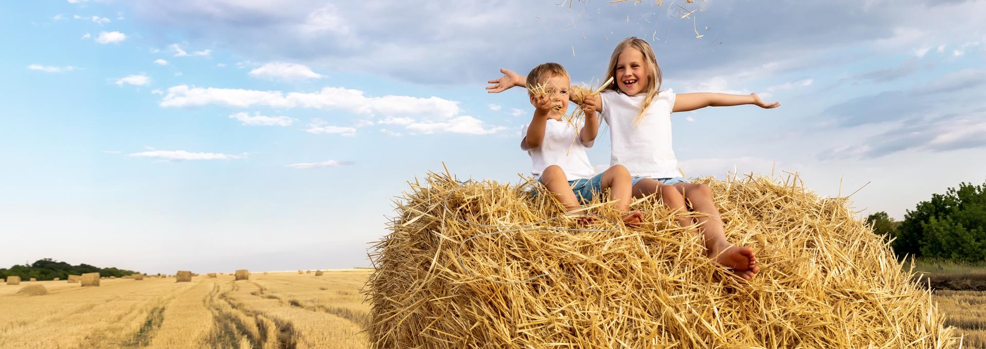Bismarck & Mandan Banking Services Security First Bank of North Dakota